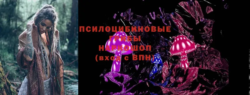 Галлюциногенные грибы Magic Shrooms Бронницы